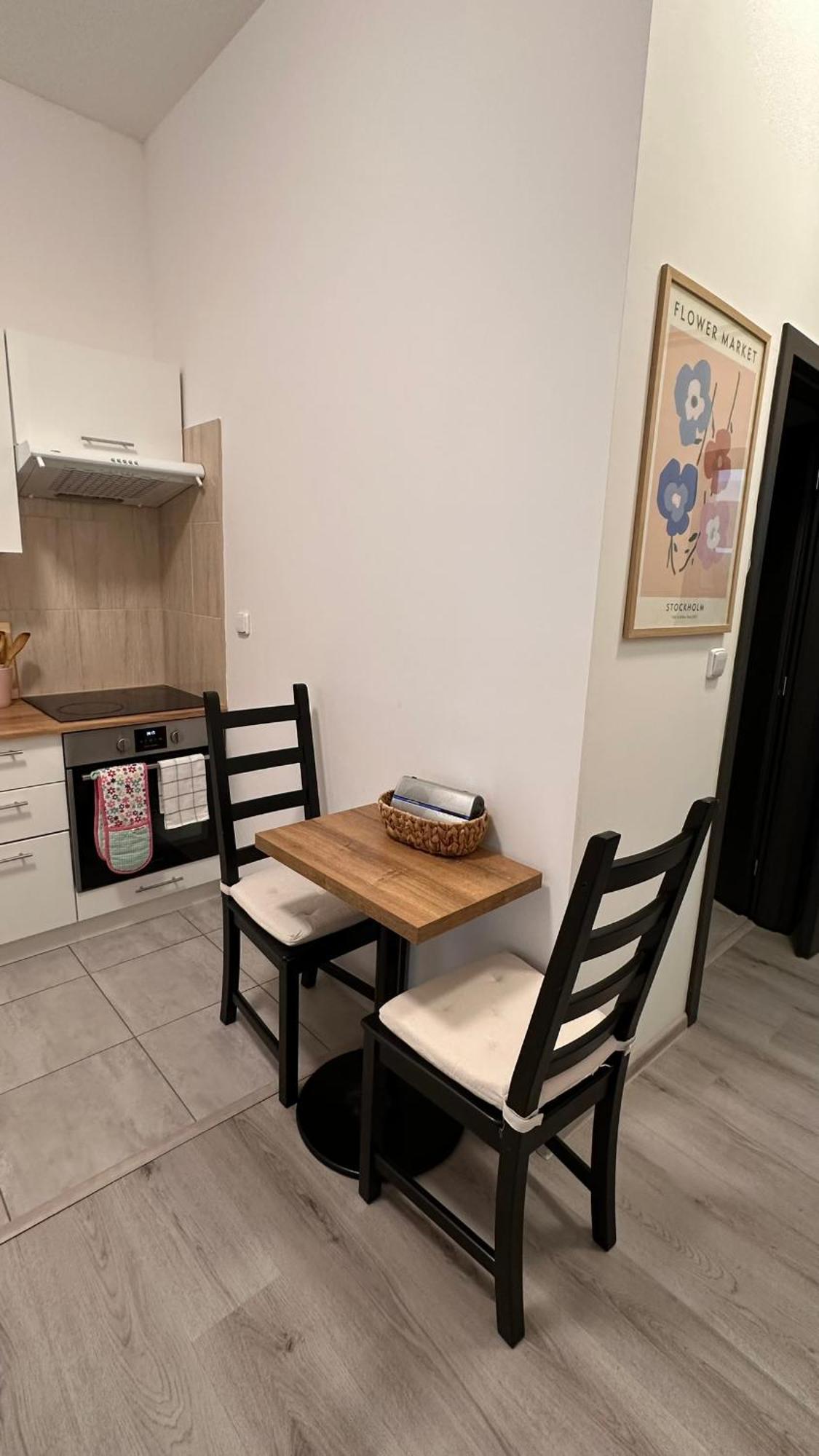 Apartmany Na Trojce ジャテツ エクステリア 写真
