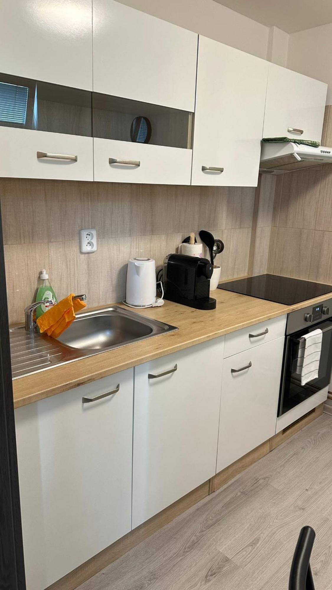 Apartmany Na Trojce ジャテツ エクステリア 写真